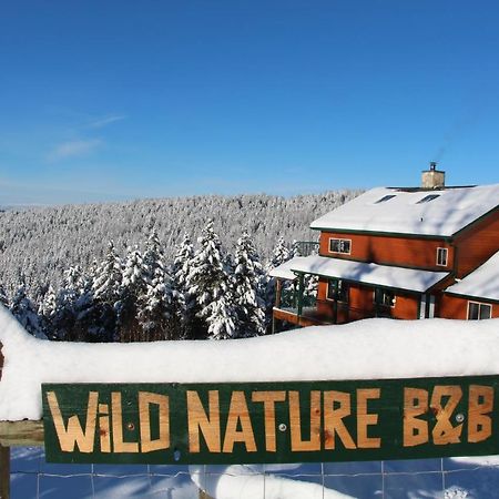 Wild Nature B&B 킬로나 외부 사진