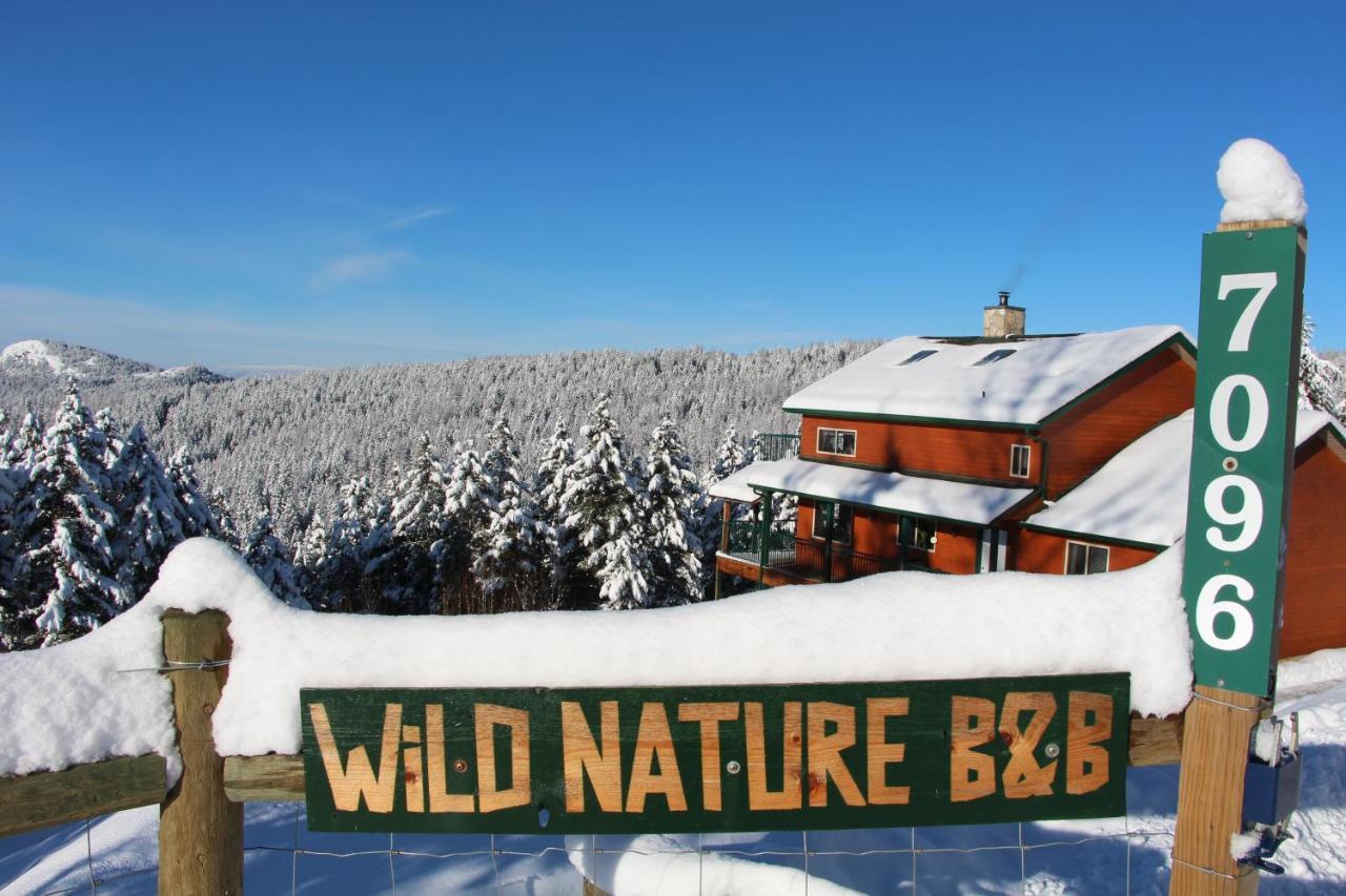 Wild Nature B&B 킬로나 외부 사진