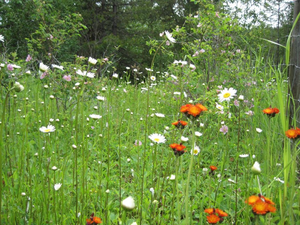Wild Nature B&B 킬로나 외부 사진